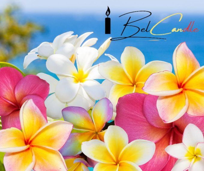 CASCADE DE FRANGIPANIERS