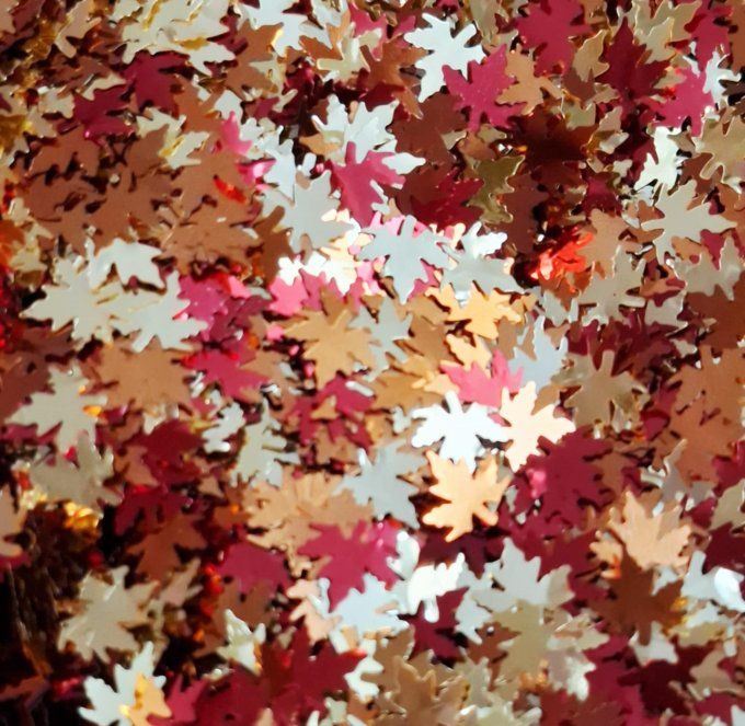 FEUILLES D'AUTOMNE