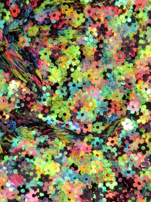 FLEURS MULTICOLORS
