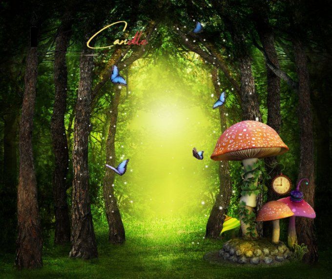 FORÊT ENCHANTÉE