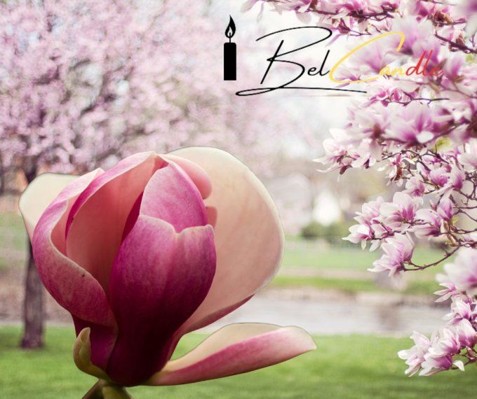 MAGNOLIA