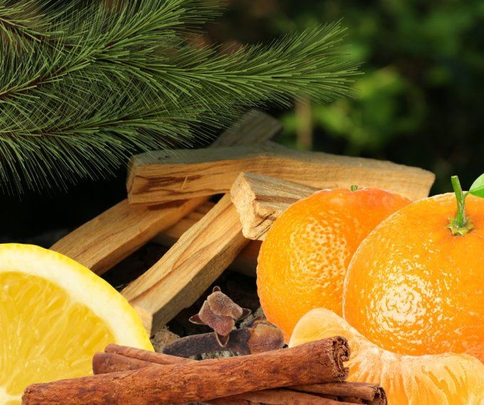 MANDARINE PALO SANTO