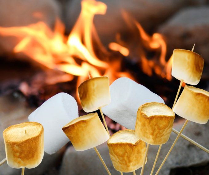 MARSHMALLOW GRILLE