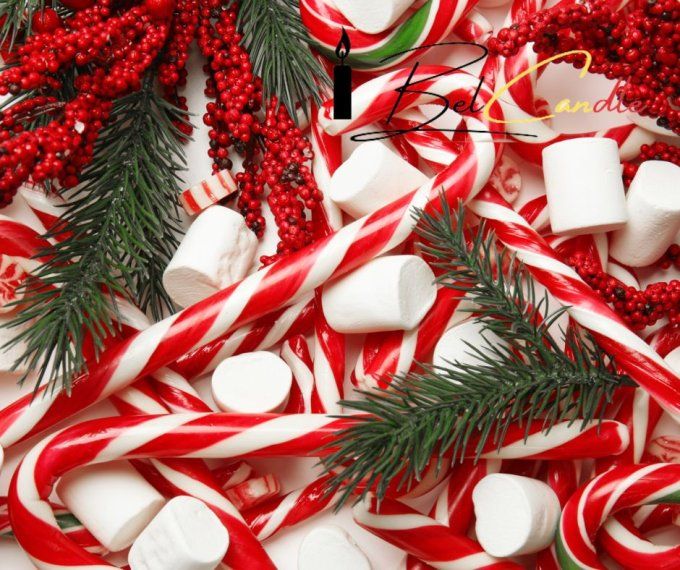 MARSHMALLOW & SUCRE D'ORGE