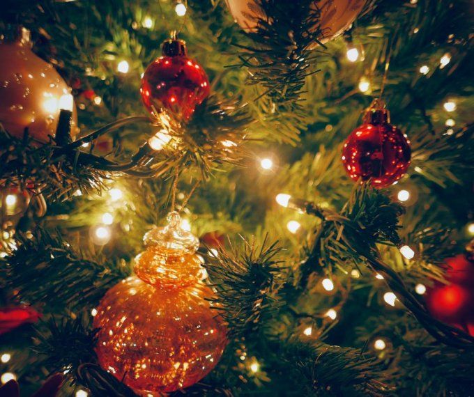 SAPIN DE NOS FORÊTS